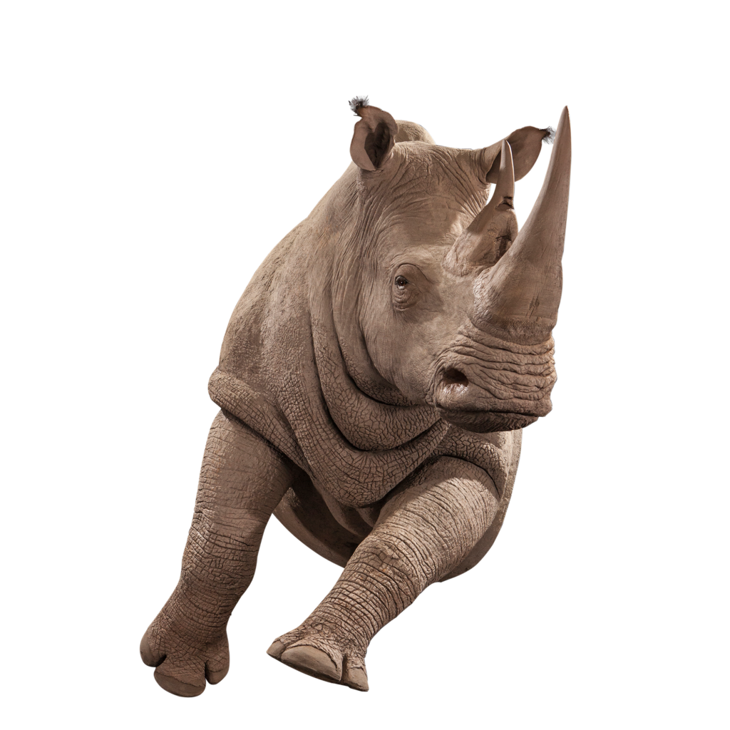 replica-rhino-life-size-mount_poseRR101-feature-1024x1024