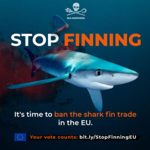 stop_finning1080